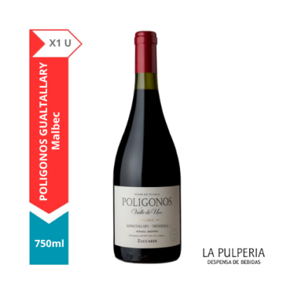 Poligonos Gualtallary X1 750