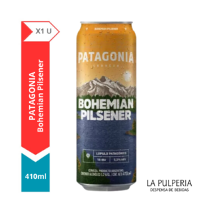 Patagonia Bohemian x 1 0410