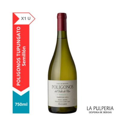 Poligonos Tupungato X1 750 Bot