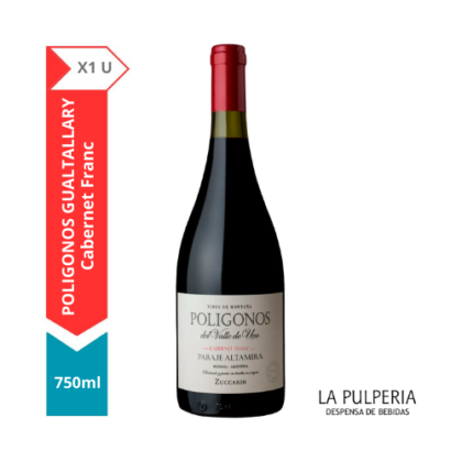 Poligonos Gualtallary X1 750